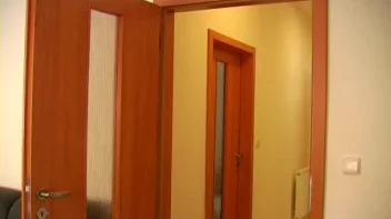 Surprise Reunion Screencap 1 on sinx.preview.netperv.com