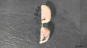 Magic Glasses Let Her See Spunk In 3D! Screencap 2 on sinx.preview.netperv.com