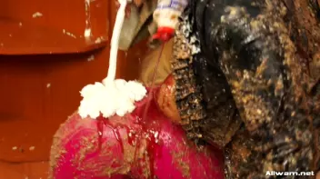 Photo Shoots and Bakeries, The Perfect Mix Screencap 77 on sinx.preview.netperv.com