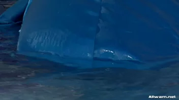 Pool Pals Keep It Nice and Cool Screencap 51 on sinx.preview.netperv.com