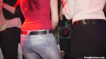 Party Hardcore Gone Crazy Vol. 2 Part 1 - Main Edit Screencap 9 on sinx.preview.netperv.com