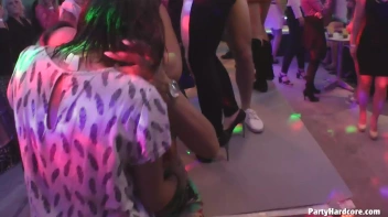 Party Hardcore Gone Crazy Vol. 31 Part 7 - Cam 3 Screencap 36 on sinx.preview.netperv.com