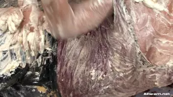 What Happened To Dignity, Ladies!? Screencap 113 on sinx.preview.netperv.com