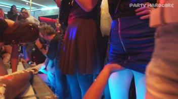 Party Hardcore Gone Crazy Vol. 17 Part 3 - Main Edit Screencap 11 on sinx.preview.netperv.com