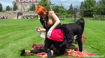 The Craziest Tourist Attraction In Town! Screencap 32 on sinx.preview.netperv.com