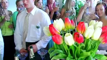 Wedding Celebration Part 2 - Cam 1 Screencap 11 on sinx.preview.netperv.com