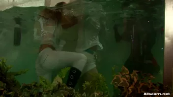 Glamorous Pool Babes Screencap 84 on sinx.preview.netperv.com