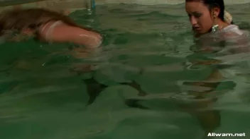 Glamorous Pool Babes Screencap 87 on sinx.preview.netperv.com