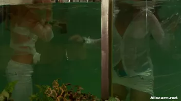 Glamorous Pool Babes Screencap 98 on sinx.preview.netperv.com