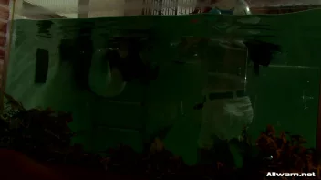 Glamorous Pool Babes Screencap 39 on sinx.preview.netperv.com