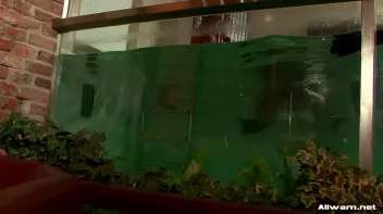 Glamorous Pool Babes Screencap 50 on sinx.preview.netperv.com