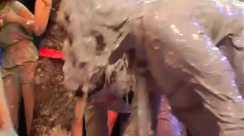 Kia Winston vs. Alexis Screencap 30 on sinx.preview.netperv.com