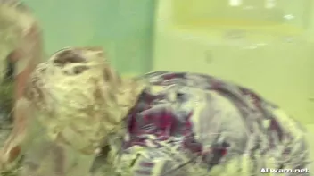 Messed Up Trivia Screencap 50 on sinx.preview.netperv.com