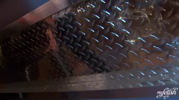 At the Hotel Bar Screencap 51 on sinx.preview.netperv.com