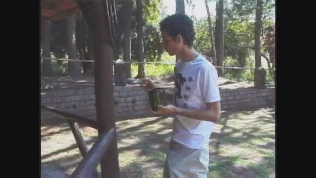 latino twink fucked  by shemalke in exhib on sinx.preview.netperv.com