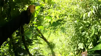 Mess With A Bitch And Take Some Piss Screencap 7 on sinx.preview.netperv.com