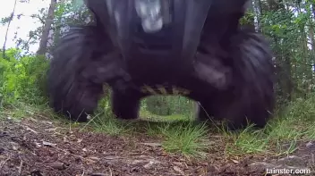 Some outdoor pissing fun Screencap 1 on sinx.preview.netperv.com