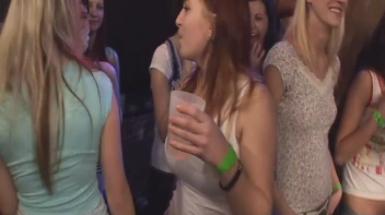 Party Hardcore Vol. 33 Part 1 - Cam 1 Screencap 32 on sinx.preview.netperv.com