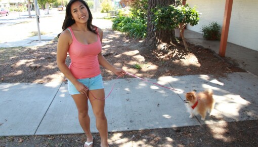 Latest deal - Mia: Flipside Blow Show