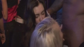 Party Hardcore Vol. 49 Part 1 - Cam 2 Screencap 41 on sinx.preview.netperv.com