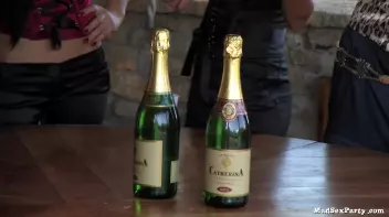 Gazebo Gobblers Part 1 Screencap 7 on sinx.preview.netperv.com