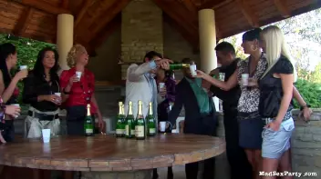 Gazebo Gobblers Part 1 Screencap 14 on sinx.preview.netperv.com