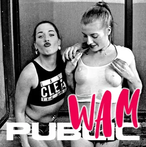 Public Wam
