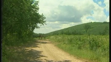 Latest deal - Im Wald heftig durchgeknallt