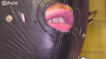 Der neue Putzsklave Screencap 34 on sinx.preview.netperv.com