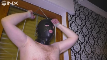 Der neue Putzsklave Screencap 40 on sinx.preview.netperv.com