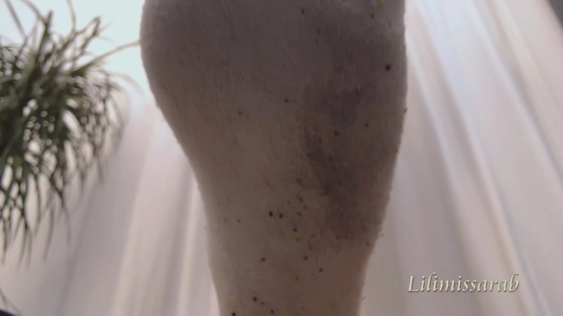 My sock slave on sinx.preview.netperv.com