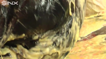 Messy Food Fun With Posh Bitches Screencap 95 on sinx.preview.netperv.com