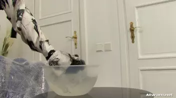 Barbara Summers Slimey Afternoon Screencap 15 on sinx.preview.netperv.com