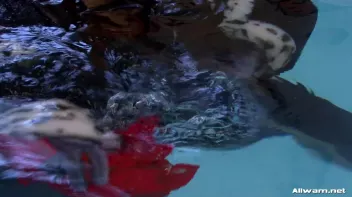 Glamor Chicks Take a Step Over The Edge Screencap 25 on sinx.preview.netperv.com