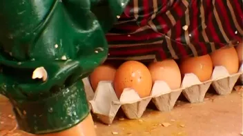 Egg War! Screencap 98 on sinx.preview.netperv.com