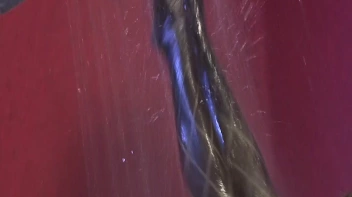 Raunch Auction Part 5 - Cam 3 Screencap 43 on sinx.preview.netperv.com