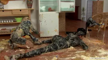 Burglar Gets a Messy Surprise Screencap 112 on sinx.preview.netperv.com