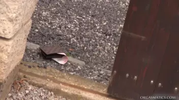 The Find Of A Lifetime Screencap 2 on sinx.preview.netperv.com