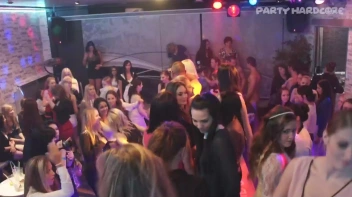 Party Hardcore Gone Crazy Vol. 14 Part 2 - Cam 4 Screencap 66 on sinx.preview.netperv.com
