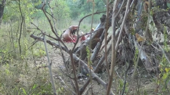 Spanneralarm Screencap 4 on sinx.preview.netperv.com