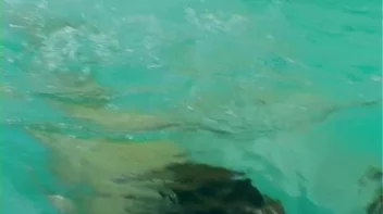 Chicks Love Fully Clothed Swimming Screencap 70 on sinx.preview.netperv.com