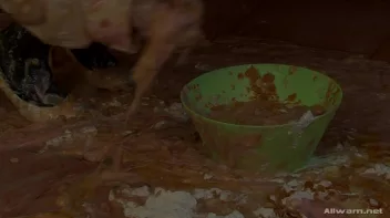 Eggy Snatch Screencap 120 on sinx.preview.netperv.com