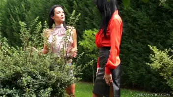 There's A Buzz In The Air Screencap 2 on sinx.preview.netperv.com