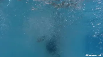 Wetlook Fitness Hotties Screencap 45 on sinx.preview.netperv.com