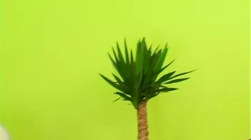 The Cum-Glazed Glass Table Screencap 31 on sinx.preview.netperv.com