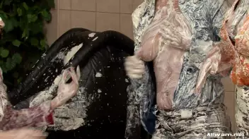 The Full WaM Treatment Screencap 79 on sinx.preview.netperv.com