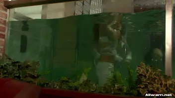 Glamorous Pool Babes Screencap 78 on sinx.preview.netperv.com