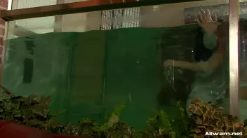 Glamorous Pool Babes Screencap 80 on sinx.preview.netperv.com