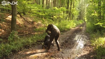 A Fiery Catfight In The Forest Screencap 48 on sinx.preview.netperv.com