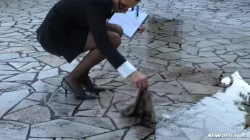 Real Estate Mess Disaster Screencap 21 on sinx.preview.netperv.com